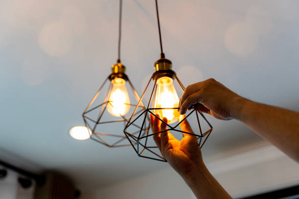 Best Electric Panel Repair  in Beecher, MI